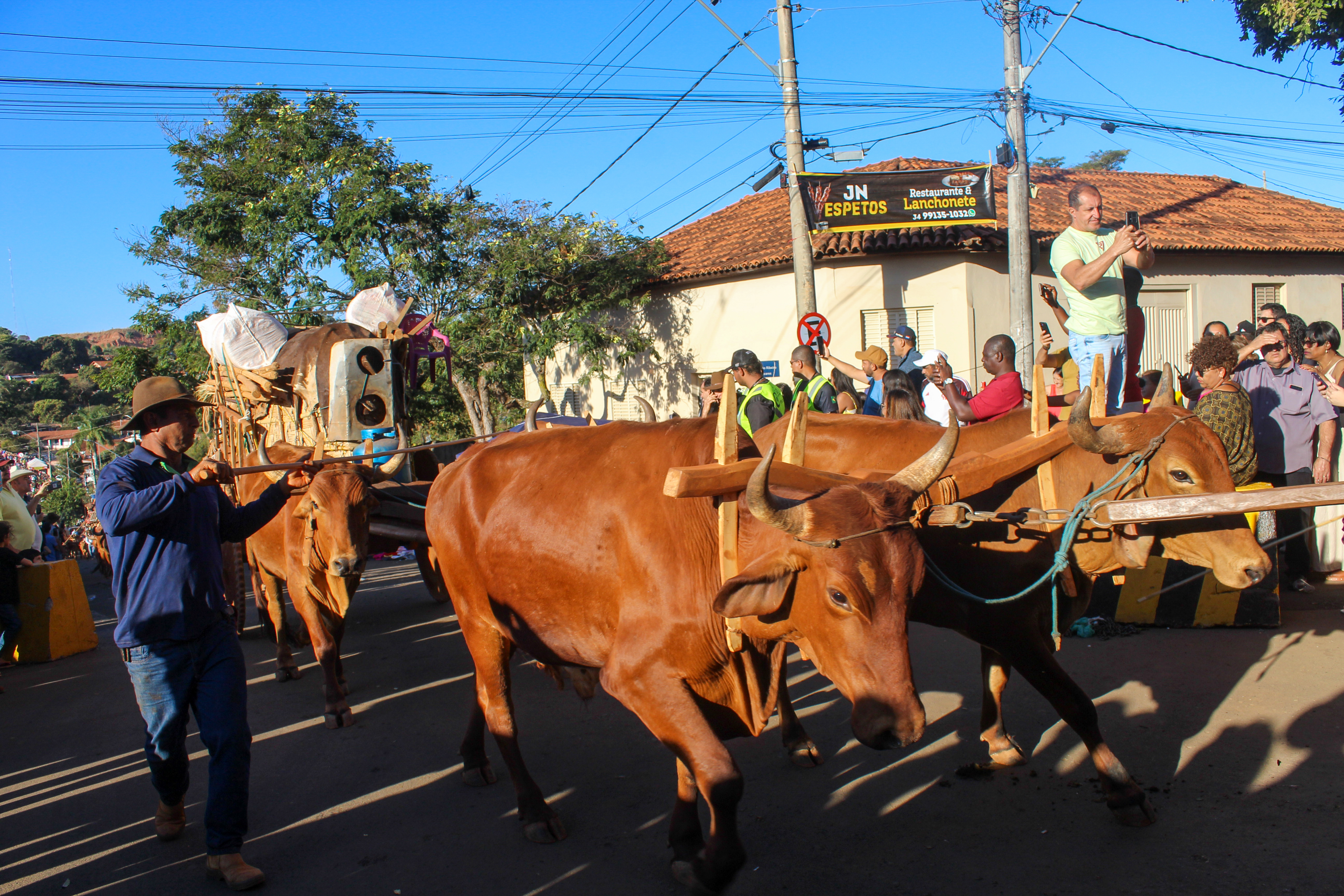 Romaria dos carros de boi emociona fiéis na chegada à Festa de Nossa Senhora da Abadia em Romaria-MG
